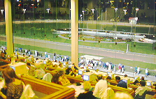 Dairyland Clubhouse Dining Room